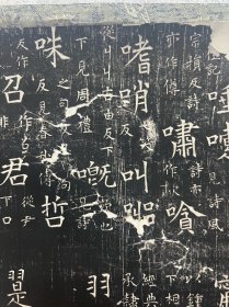 石经的晚清旧拓片 被装裱成立轴一件。尺寸：全体52*140cm，41.5*33cm。经年痕迹。