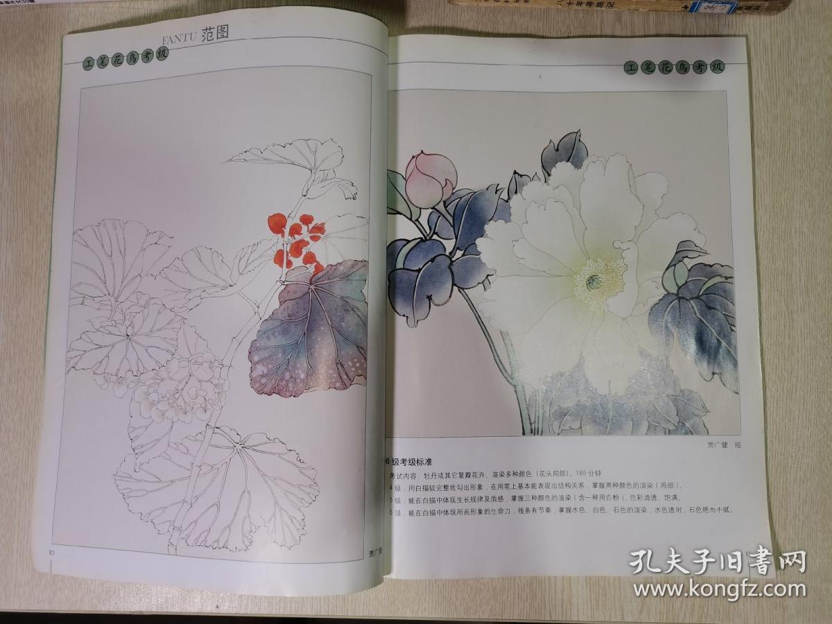 社会艺术水平考级美术书法专业系列：中国工笔花鸟画范图