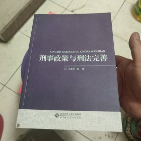 刑事政策与刑法完善