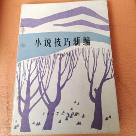 小说技巧新编