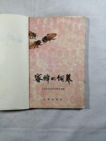 蜜蜂的饲养