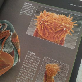 新知客 2006.11