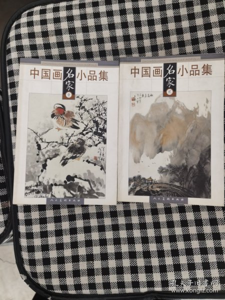 中国画名家小品集（壹）