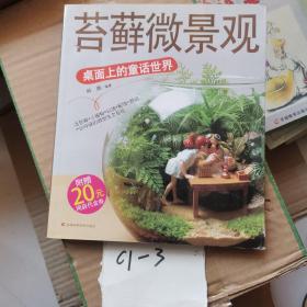 苔藓微景观：桌面上的童话世界