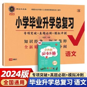 小学毕业升学总复习 语文