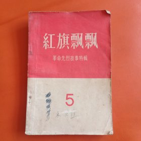 红旗飘飘 5