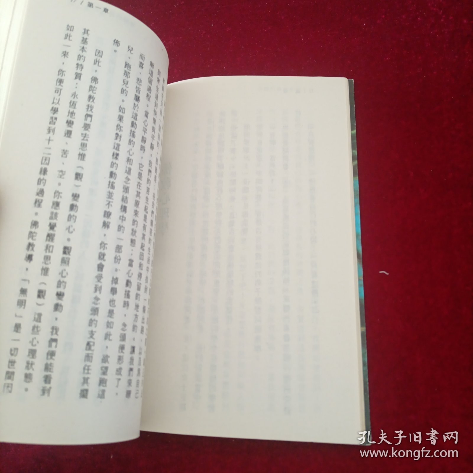 宁静的森林水池：阿姜查的内观禅修