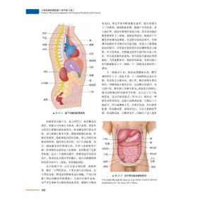 儿童体格检查图册