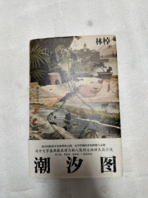 潮汐图（新锐女作家林棹全新长篇）作者签名本