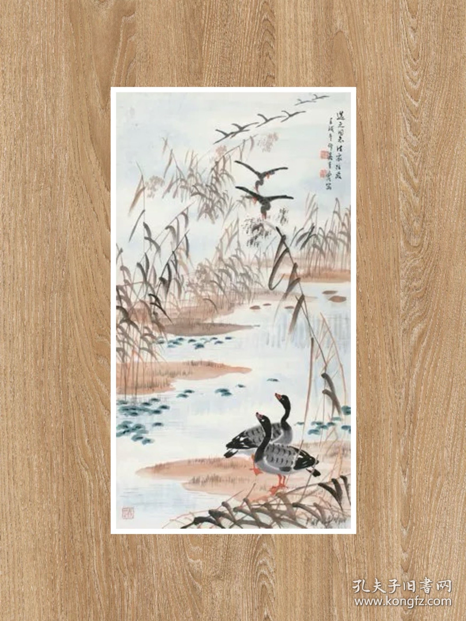 仿真宣纸国画 吴青霞 芦雁图 25x46厘米