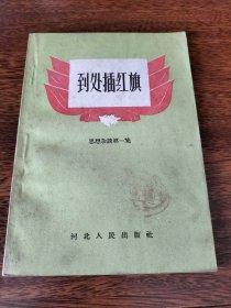 到处插红旗，思想杂谈第一集