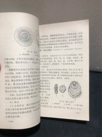 新编南方果树病虫害防治