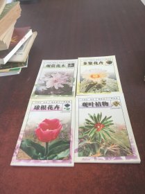 家庭花卉精品：观叶植物、多浆花卉、球根花卉、观赏花木（4册合售）