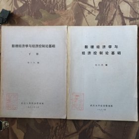 数理经济学与经济控制论基础 上下