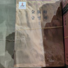 大中华文库：金瓶梅（汉韩对照）