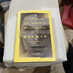 离开的，留下的(那不勒斯系列)