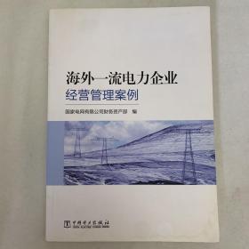 海外一流电力企业经营管理案例