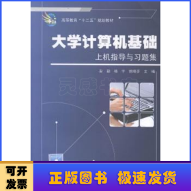 大学计算机基础上机指导与习题集