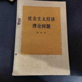 社会主义经济理论问题