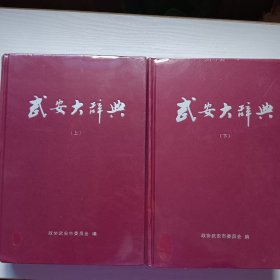 武安大辞典（上下）