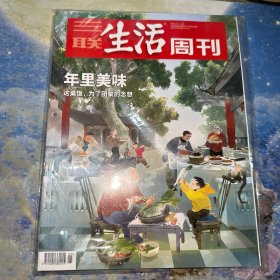 三联生活周刊2021  5.6合刊（带副刊）