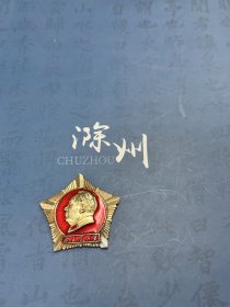 毛主席像章（星型章，参训字系列，部队章，五角造型）正面浮雕毛主席红领章，铭文毛主席万岁，背文，祝毛主席万寿无疆，参训字001，尺寸3.5㎝