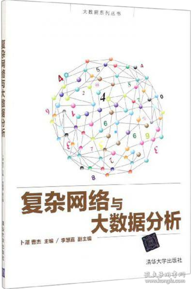 复杂网络与大数据分析/大数据系列丛书