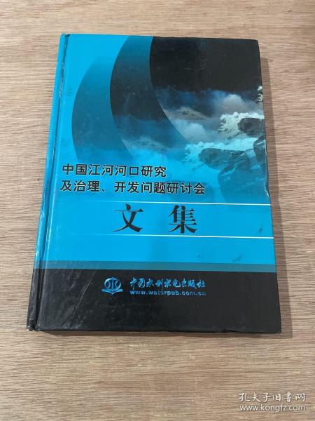 中国江河河口研究及治理、开发问题研讨会文集（精装）