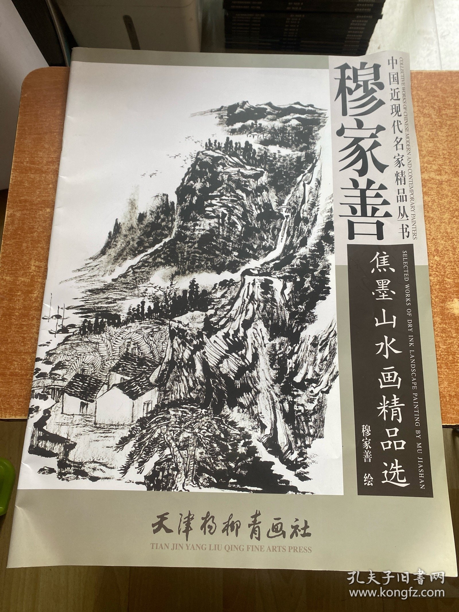 中国近现代名家精品丛书：穆家善焦墨山水画精品选