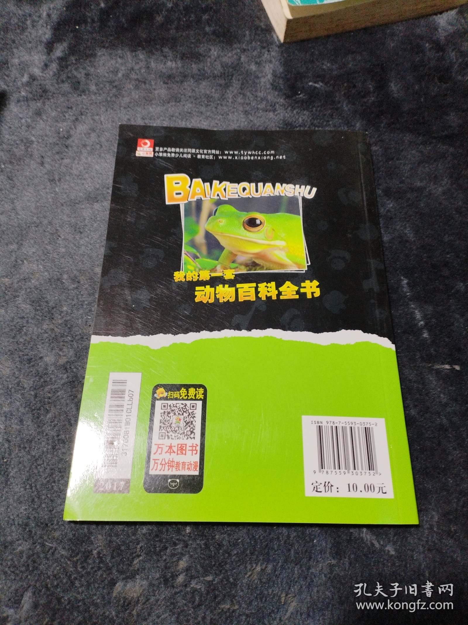防御大师
