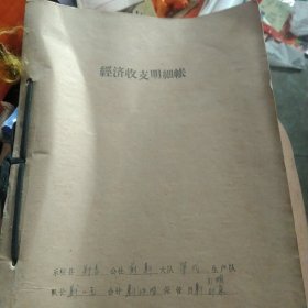 1980年农村经济收支明细账 账本