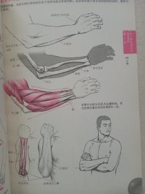 人体动态解剖学：漫画·插画·动画