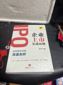 IPO企业上市实战攻略：业务盈利问题深度剖析