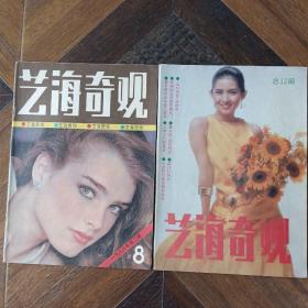 艺海奇观 期刊杂志 共2册合售