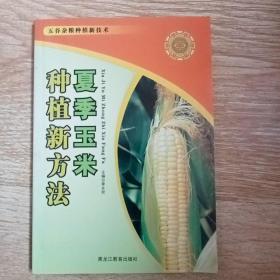 夏季玉米种植新方法