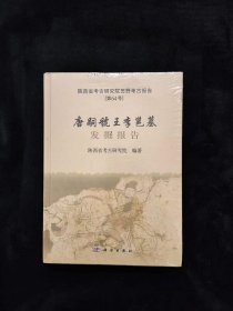 唐嗣虢王李邕墓发掘报告