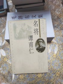 名将谭甫仁