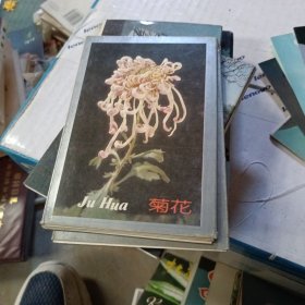 明信片。菊花 十张