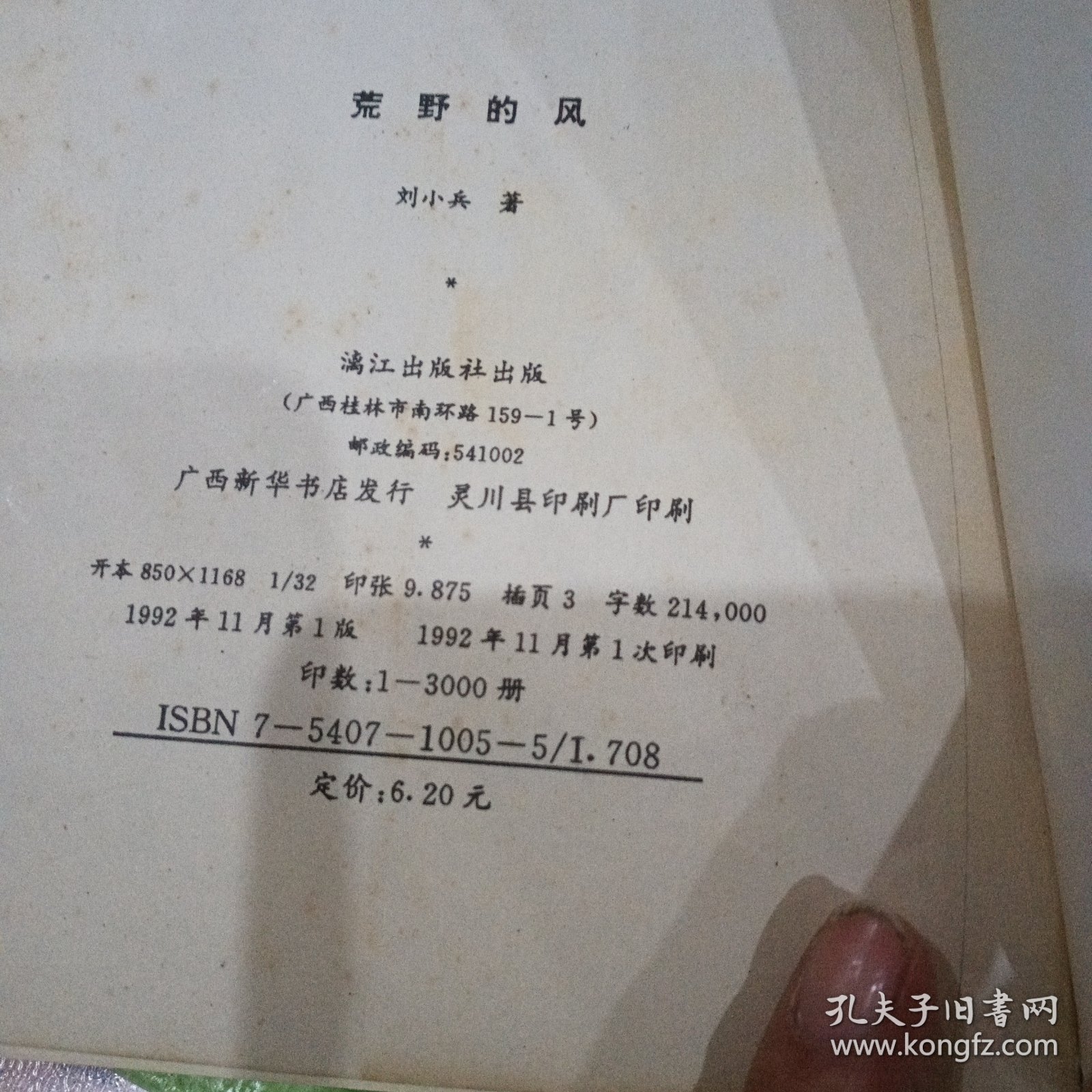 荒野的風，刘小兵小说