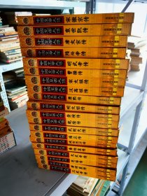 中国皇帝大传