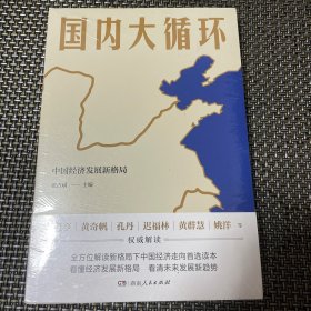 国内大循环(何毅亭、黄奇帆、孔丹、迟福林、姚洋、黄群慧等撰文)