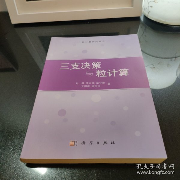 粒计算研究丛书：三支决策与粒计算