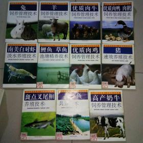 农民科普丛书 养殖技术系列——高产奶牛饲养管理技术+莲鱼共养技术+斑点叉尾鮰养殖技术+猪速效养殖技术+优质肉鸡饲养管理技术+鲤鱼草鱼池塘精养技术+南美白对虾+兔+羊+优质肉牛+优质肉鸭肉鹅共11本合售