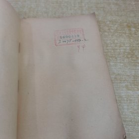 一个上海姑娘的奇遇