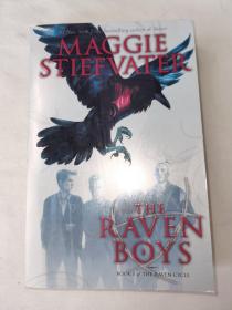 The Raven Boys (Raven Cycle) 乌鸦男孩