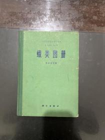 中国科学院动物研究所昆虫图册第二号 蛾类图册