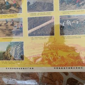 著名红色藏品：老电影海报一一大寨田(两开、品佳、保真保老)