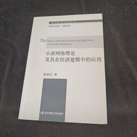 小波网络理论及其在经济建模中的应用