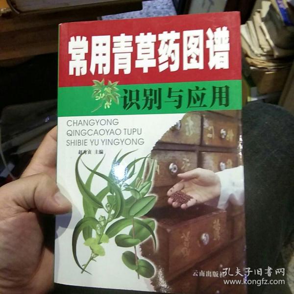 袖珍青草药彩色图谱