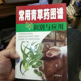 袖珍青草药彩色图谱